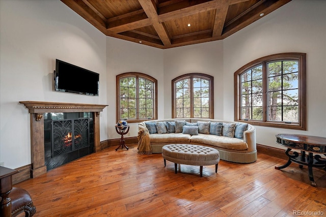 living room with hardwood / wood-style floors, a premium fireplace, and baseboards