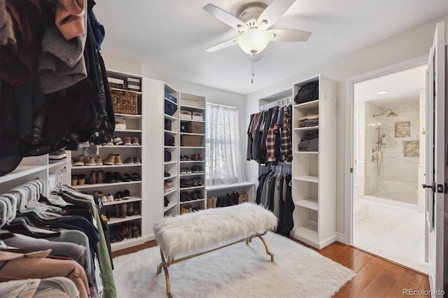 13818 Krameria St, Thornton, CO 80602 - spacious closet with ceiling fan and wood finished floors