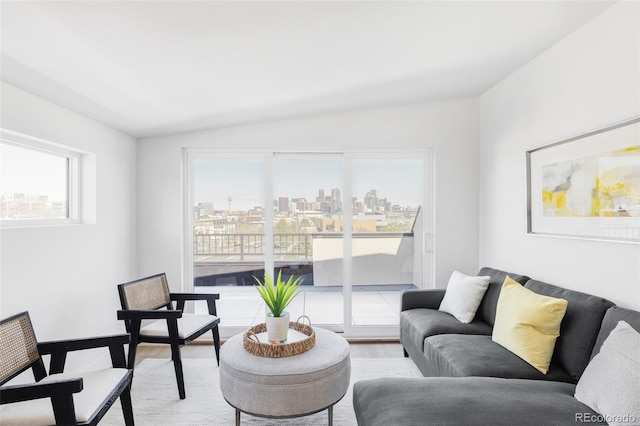 living room featuring wood finished floors and a city view