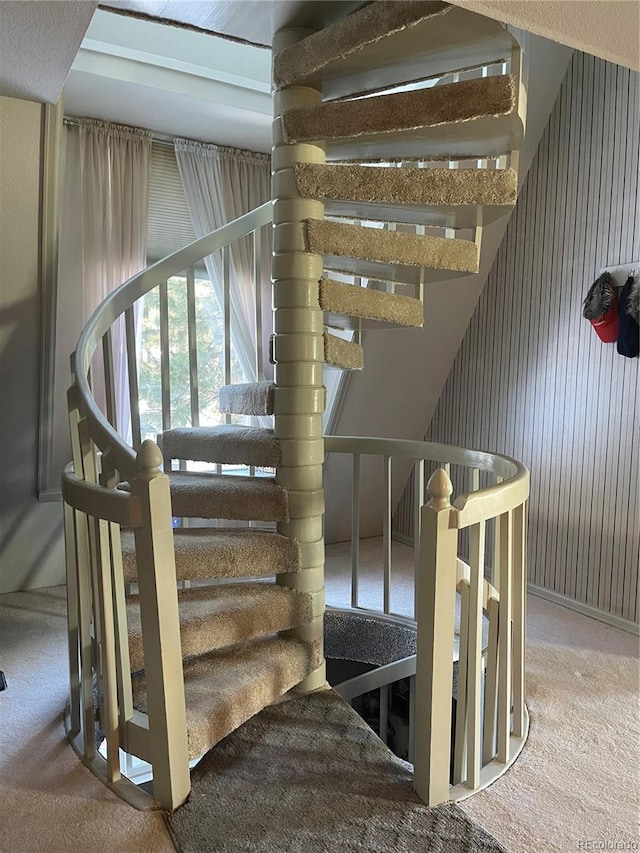 stairs with carpet