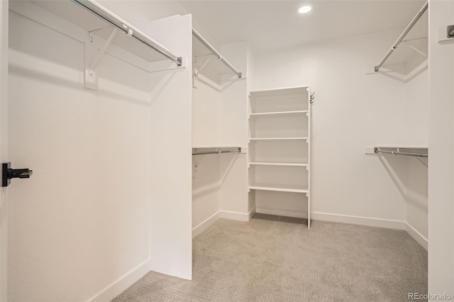 15870 Duckweed Ct, Parker, CO 80134 - walk in closet featuring carpet