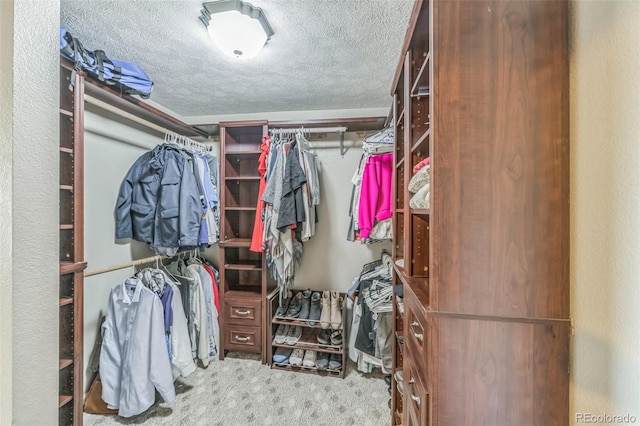 walk in closet featuring carpet