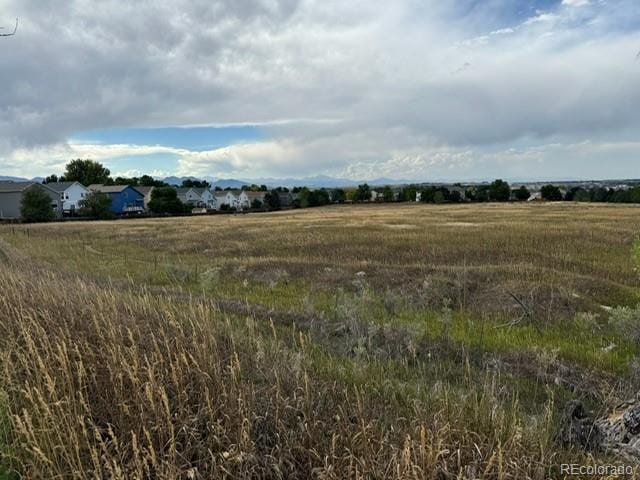 view of local wilderness with a rural view