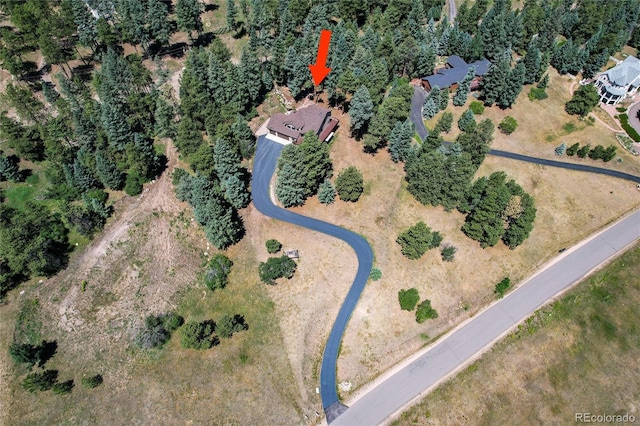 8171 S Homesteader Dr, Morrison, CO 80465 - aerial view of property and surrounding area