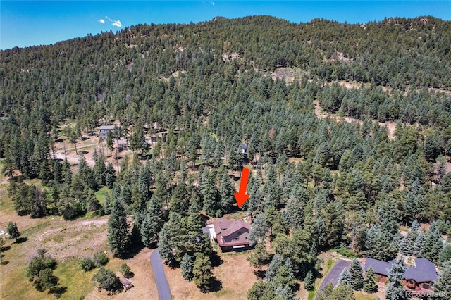 8171 S Homesteader Dr, Morrison, CO 80465 - aerial view of property's location featuring a forest and a mountain backdrop