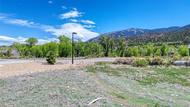 2102 E Ouray Ave, Poncha Springs, CO 81242
