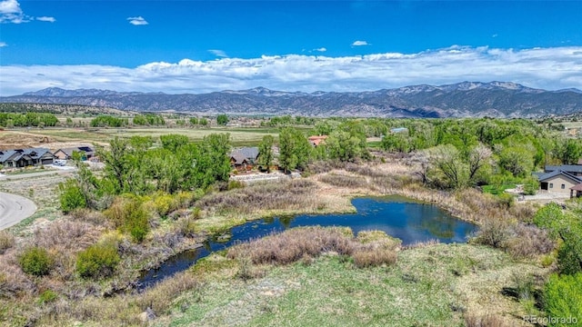 2102 E Ouray Ave, Poncha Springs, CO 81242