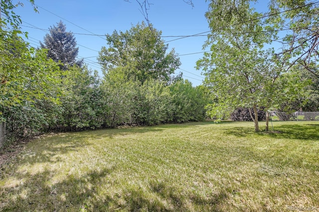 811 S Tyler Ave, Loveland, CO 80537 - photo 24