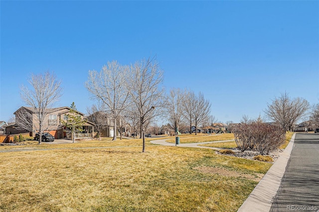 5224 Snow Goose St, Brighton, CO 80601 - view of yard