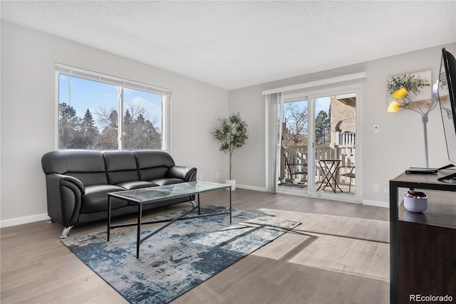 living room with hardwood / wood-style flooring and a textured ceiling