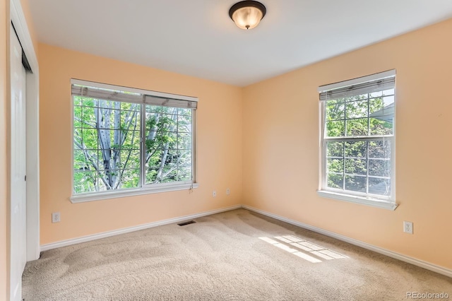511 Noel Ave, Longmont, CO 80501 - carpeted spare room featuring healthy amount of natural light and baseboards
