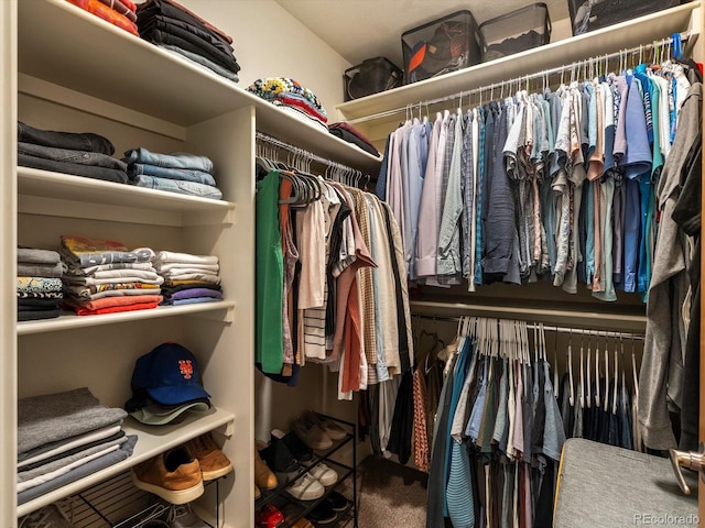 1880 W 32nd Ave, Denver, CO 80211 - spacious closet with carpet
