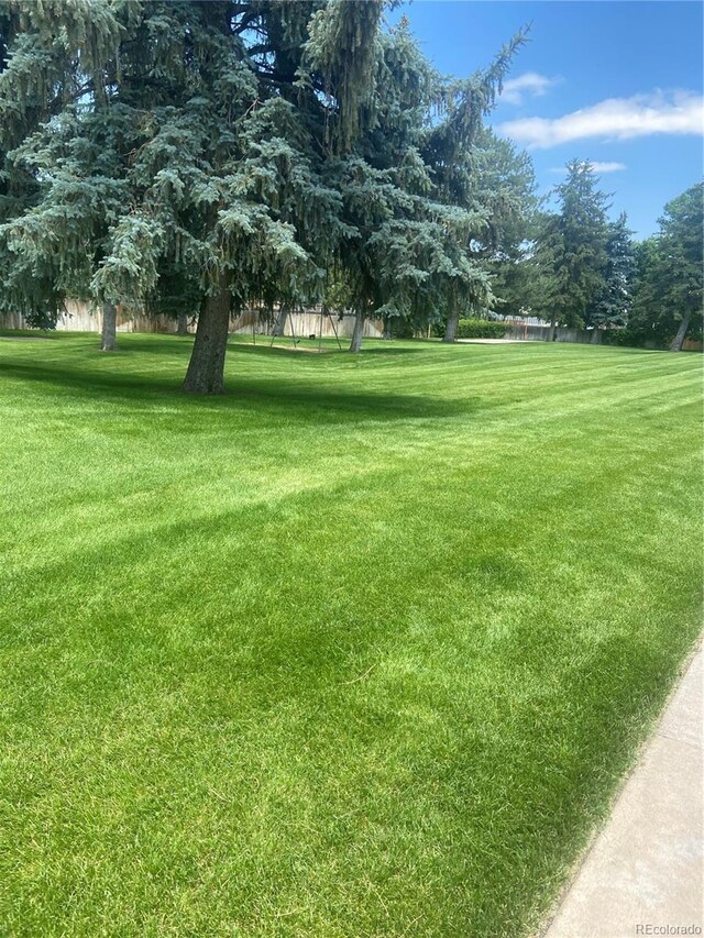 12931 W 20th Ave, Golden, CO 80401 - photo 19