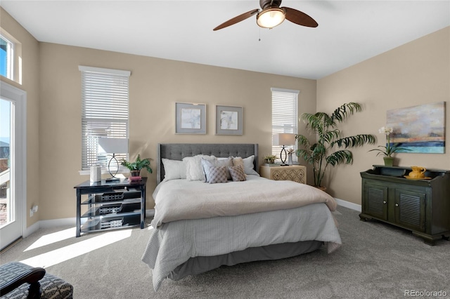 6203 Adamants Dr, Colorado Springs, CO 80924 - bedroom with baseboards, multiple windows, and carpet