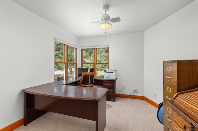 729 Sawmill Rd, Loveland, CO 80537 - office space featuring baseboards, ceiling fan, and light carpet