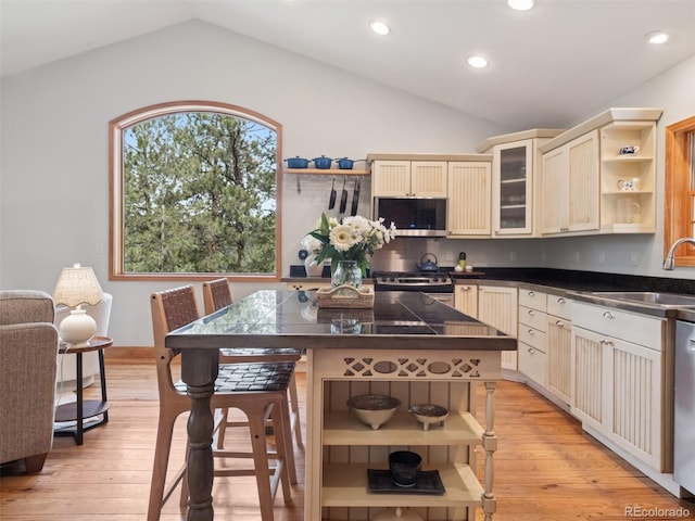 27905 Mariposa Rd, Evergreen, CO 80439 - kitchen featuring open shelves, appliances with stainless steel finishes, and vaulted ceiling