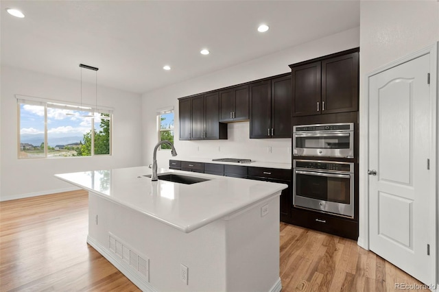 2423 Delicato Ct, Colorado Springs, CO 80921 - kitchen with a sink, light wood-style flooring, stainless steel appliances, light countertops, and an island with sink