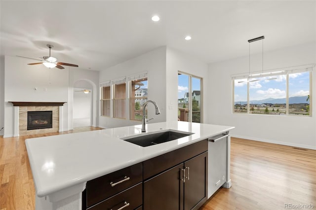 2423 Delicato Ct, Colorado Springs, CO 80921 - kitchen featuring a sink, stainless steel dishwasher, light wood-style flooring, light countertops, and ceiling fan