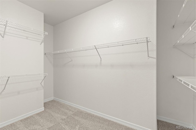 2423 Delicato Ct, Colorado Springs, CO 80921 - walk in closet featuring light carpet