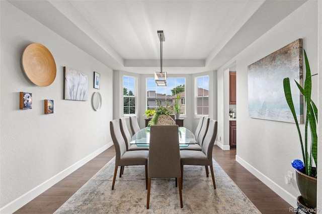 5984 S Paris Pl, Greenwood Village, CO 80111 - dining area with a tray ceiling and dark wood-style floors