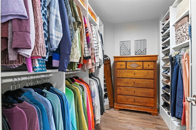 5984 S Paris Pl, Greenwood Village, CO 80111 - spacious closet with wood finished floors