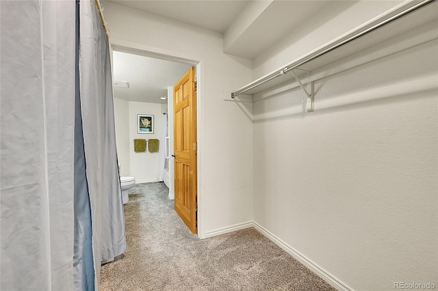 spacious closet with carpet flooring