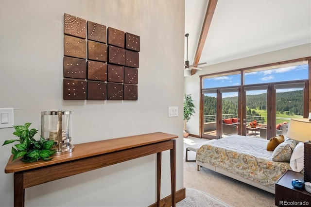 33448 Alta Vista Dr, Evergreen, CO 80439 - photo 23