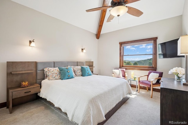 33448 Alta Vista Dr, Evergreen, CO 80439 - photo 29