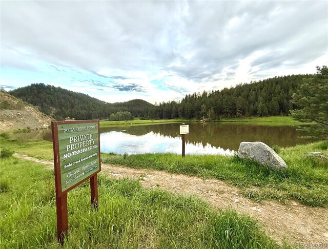 33448 Alta Vista Dr, Evergreen, CO 80439 - photo 47