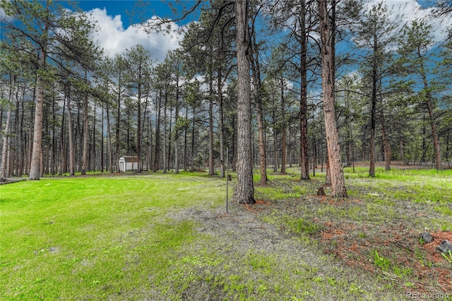 18470 Canterbury Dr, Monument, CO 80132 - view of grassy yard with a storage shed and a view of trees