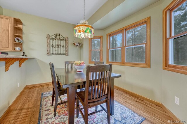 18470 Canterbury Dr, Monument, CO 80132 - dining space featuring light wood-type flooring and a chandelier