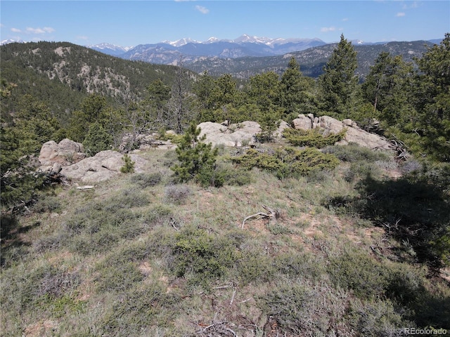 591599 Soul Shine Rd, Drake, CO 80515 - photo 2