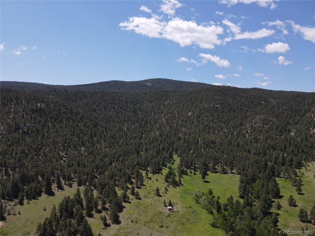 591599 Soul Shine Rd, Drake, CO 80515 - photo 3