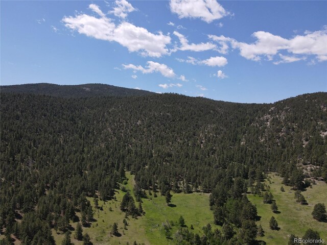 591599 Soul Shine Rd, Drake, CO 80515 - photo 4