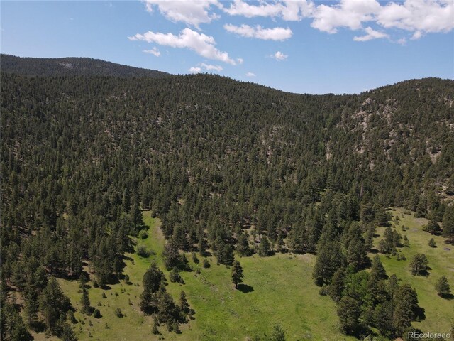 591599 Soul Shine Rd, Drake, CO 80515 - photo 5