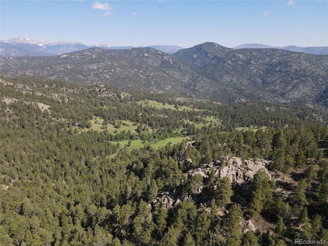 591599 Soul Shine Rd, Drake, CO 80515 - photo 6