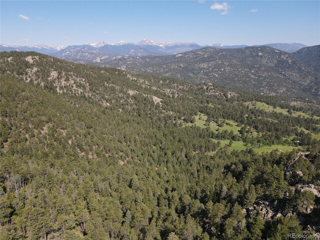 591599 Soul Shine Rd, Drake, CO 80515 - photo 7