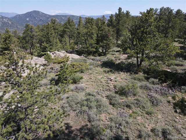 591599 Soul Shine Rd, Drake, CO 80515 - photo 8