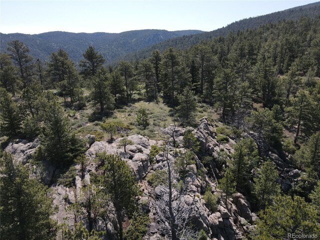 591599 Soul Shine Rd, Drake, CO 80515 - photo 9