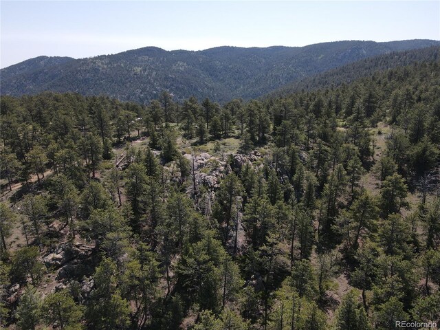591599 Soul Shine Rd, Drake, CO 80515 - photo 10