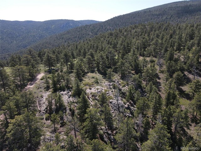 591599 Soul Shine Rd, Drake, CO 80515 - photo 11