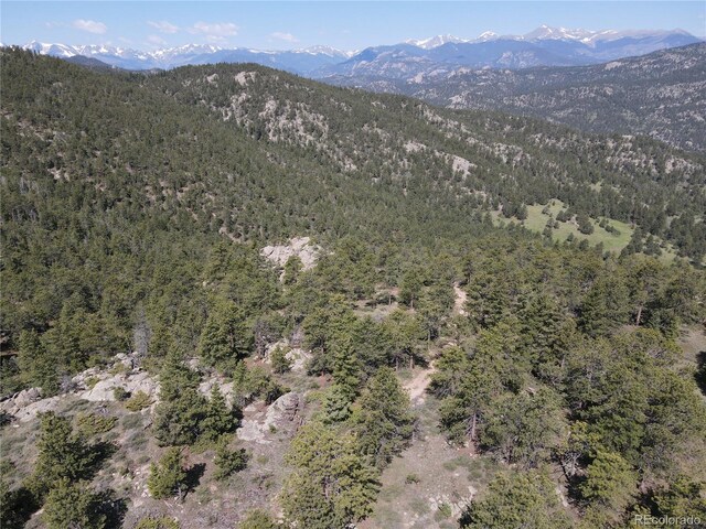 591599 Soul Shine Rd, Drake, CO 80515 - photo 13