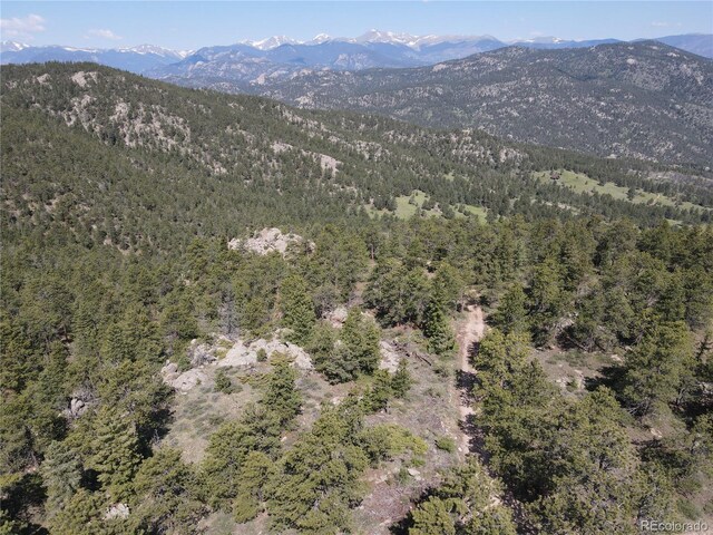 591599 Soul Shine Rd, Drake, CO 80515 - photo 14
