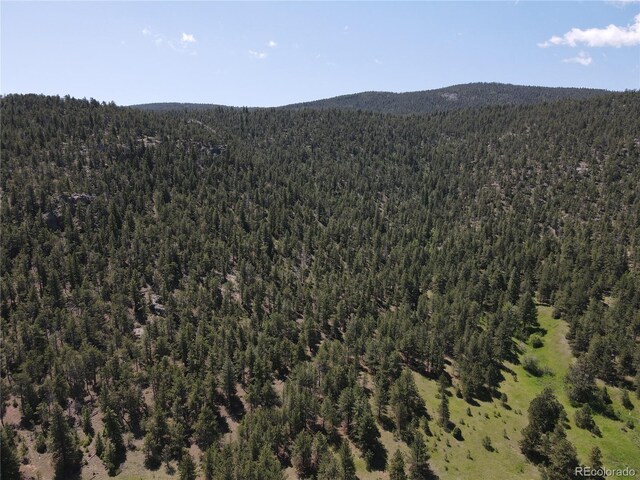 591599 Soul Shine Rd, Drake, CO 80515 - photo 15