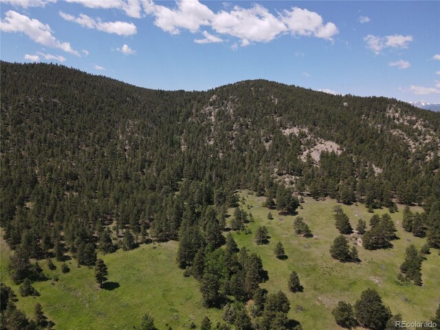 591599 Soul Shine Rd, Drake, CO 80515 - photo 16