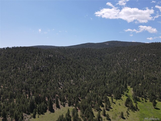 591599 Soul Shine Rd, Drake, CO 80515 - photo 17