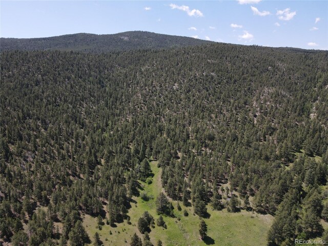 591599 Soul Shine Rd, Drake, CO 80515 - photo 18