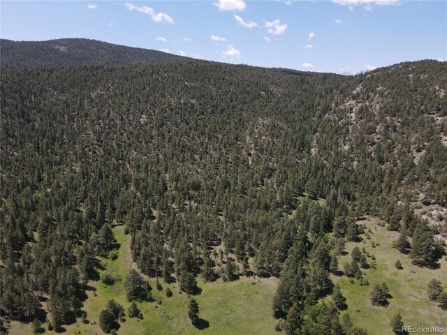 591599 Soul Shine Rd, Drake, CO 80515 - photo 19