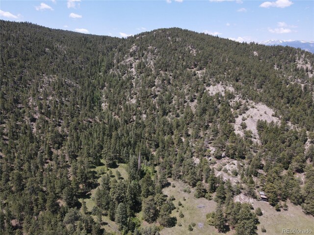 591599 Soul Shine Rd, Drake, CO 80515 - photo 20