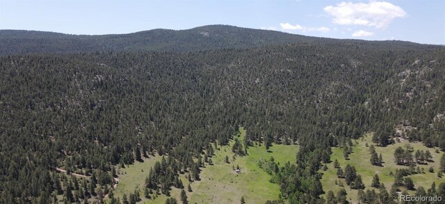 591599 Soul Shine Rd, Drake, CO 80515 - photo 21